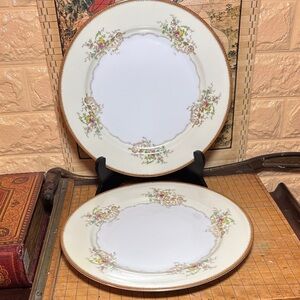 2 Meito Hand Painted Dinner Plates 9 7/8” D Mid Century Mixed Flower Border